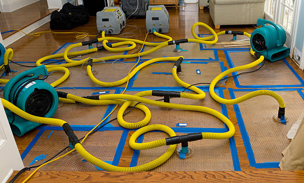 Professional Structural Drying And Dehumidification technician working in Telford, TN